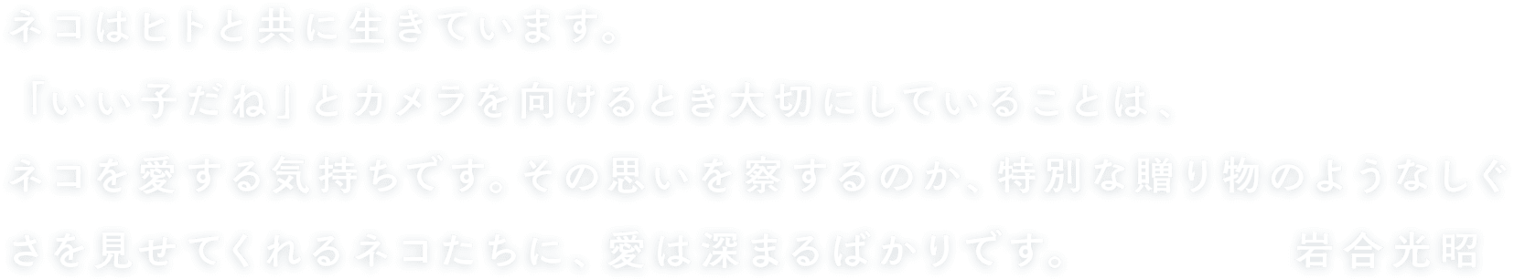 ネコはヒトと共に生きています。
「いい子だね」とカメラを向けるとき大切にしていることは、ネコを愛する気持ちです。その思いを察するのか、特別な贈り物のようなしぐさを見せてくれるネコたちに、愛は深まるばかりです。岩合光昭